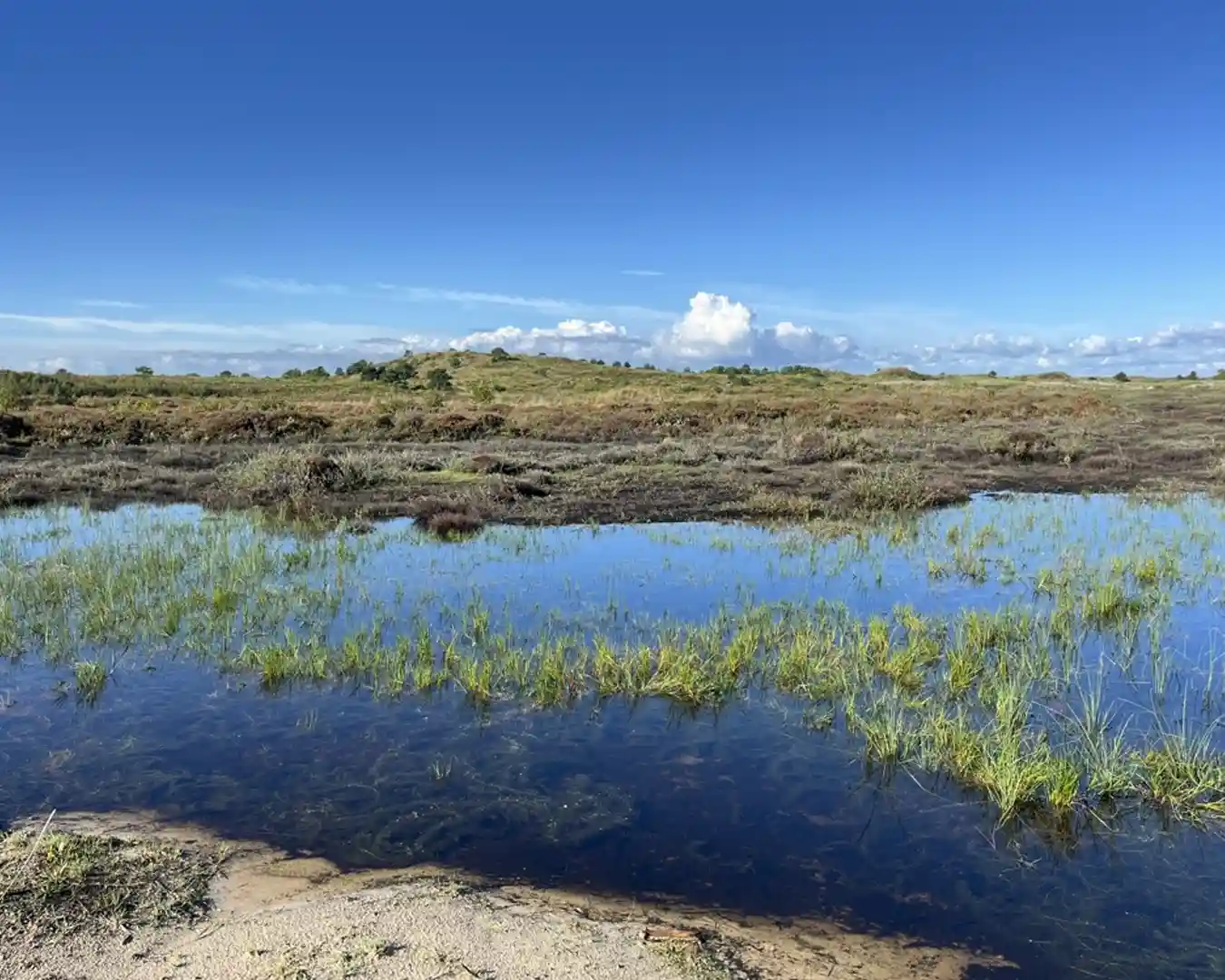 WandelRetraite Vlieland