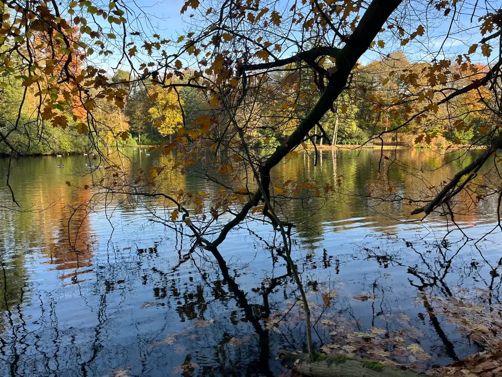 Waterelement Wandeling