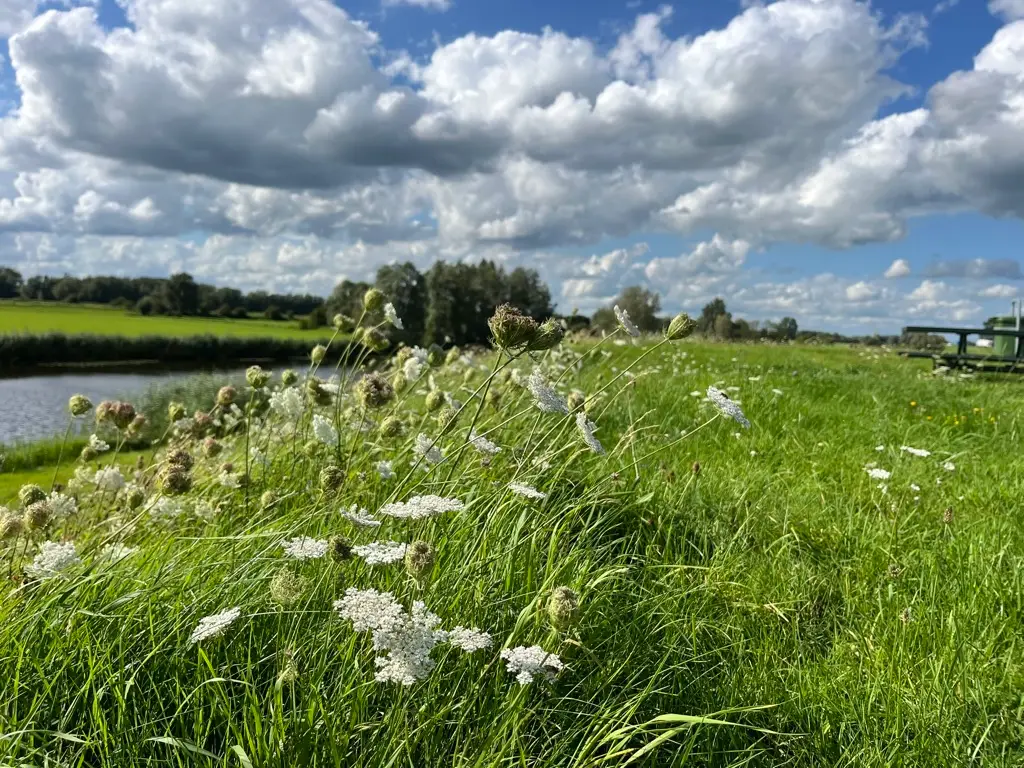 VerwonderWandeling Olst, sporen in de tijd.